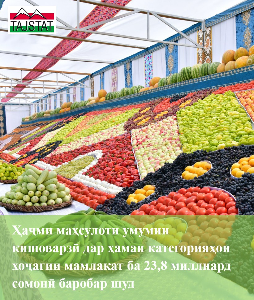 ДАР ҲАҶМИ УМУМИИ МАҲСУЛОТИ КИШОВАРЗӢ ҲИССАИ ХОҶАГИҲОИ АҲОЛӢ 45,9 ФОИЗРО ТАШКИЛ ДОДААСТ