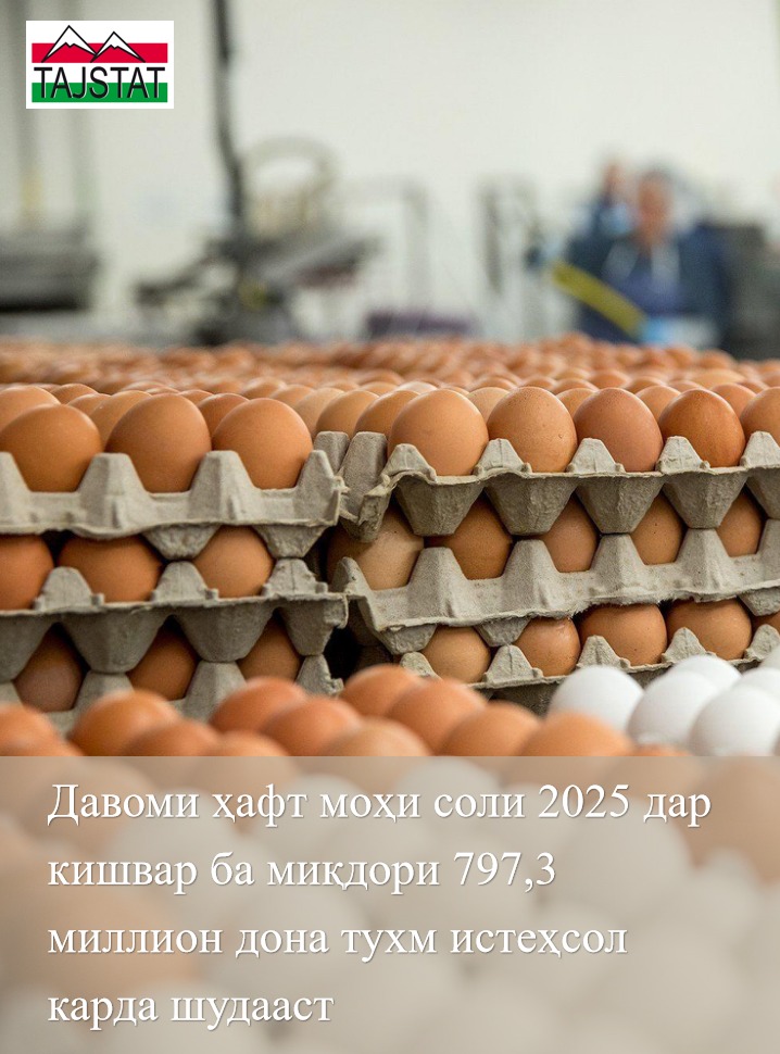EGG PRODUCTION IS INCREASING