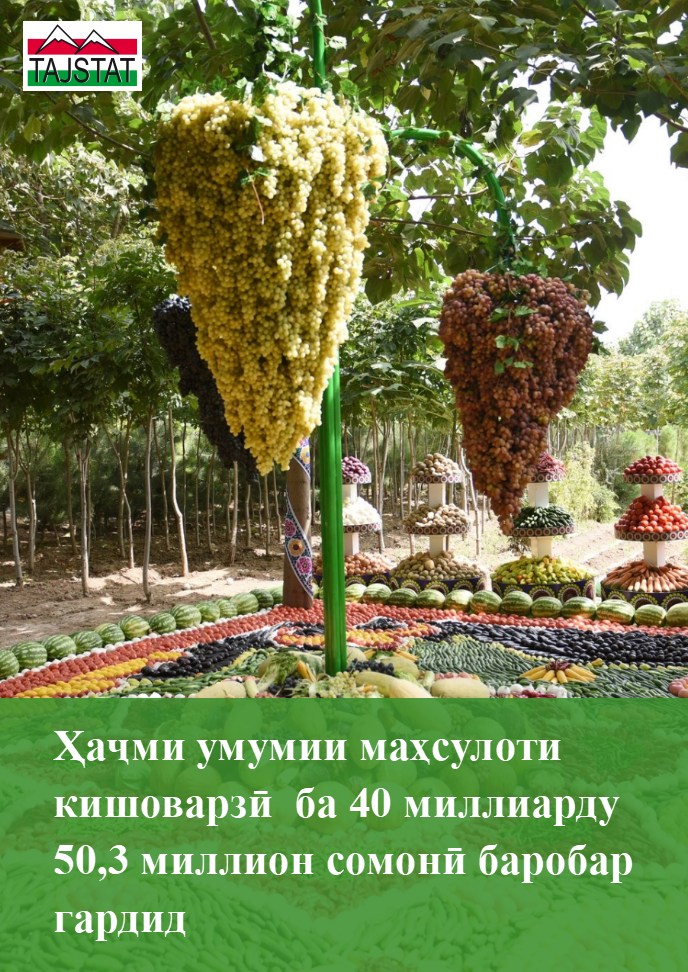 ҲАҶМИ УМУМИИ МАҲСУЛОТИ КИШОВАРЗӢ МУНТАЗАМ МЕАФЗОЯД
