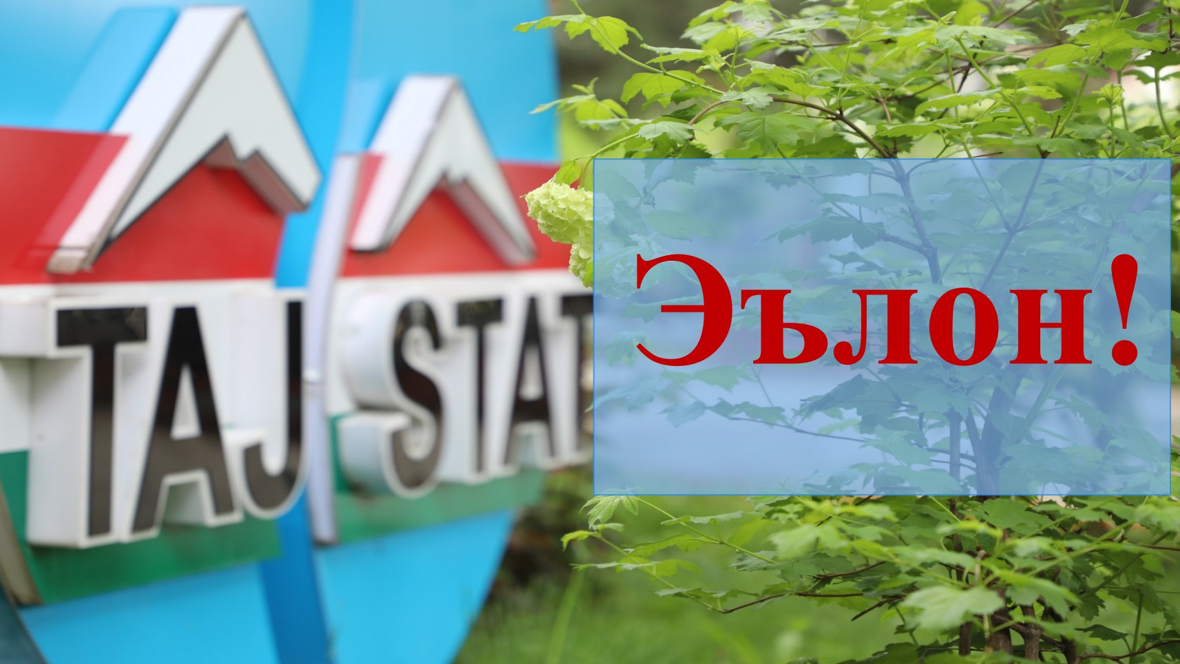 АГЕНТИИ ОМОРИ НАЗДИ ПРЕЗИДЕНТИ ҶУМҲУРИИ ТОҶИКИСТОН барои ишғол намудани мансабҳои холии маъмурии хизмати давлатии зерин ОЗМУН эълон менамояд: