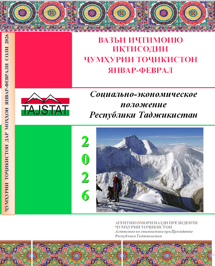 Report on the Socio-Economic Situation of the Republic of Tajikistan for January-February 2026