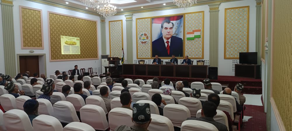 A Training and Methodological Seminar on the Implementation of New Statistical Reporting Forms is Underway in Rasht District