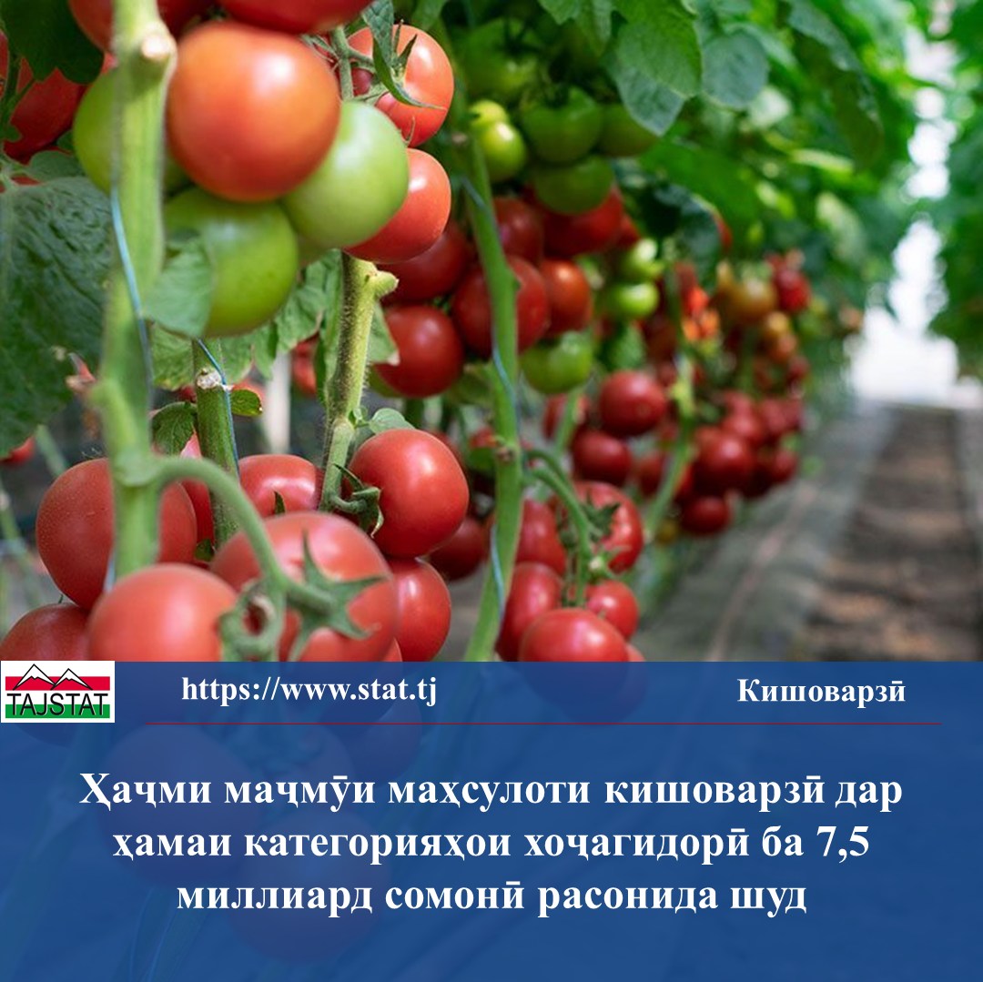SUSTAINABLE DEVELOPMENT OF THE AGRICULTURAL SECTOR: GROWTH IN PRODUCTION AND STRENGTHENING OF LIVESTOCK RESOURCES IN TAJIKISTAN