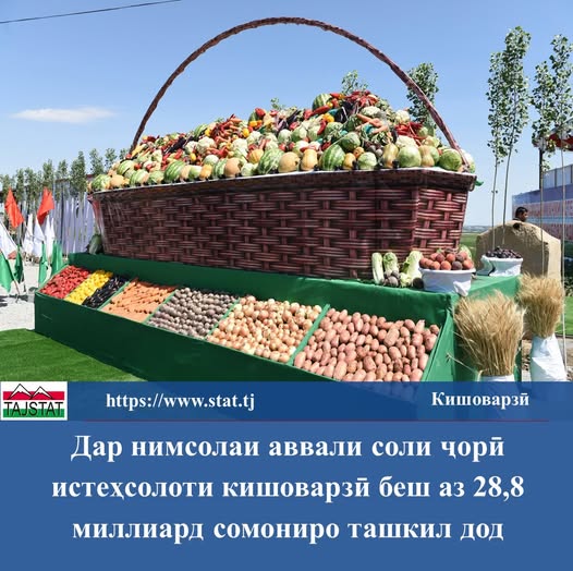 Объем валовой продукции сельского хозяйства увеличился в первом полугодии 2026 года