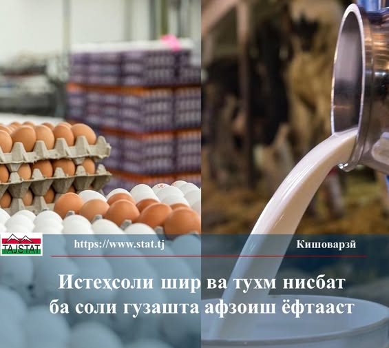 MILK AND EGG PRODUCTION IN TAJIKISTAN INCREASED